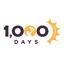 1000°, a german electronic dance music magazine. 1 000 Days Youtube
