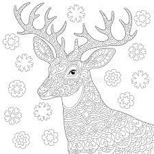 Coloring pages for christmas reindeer are available below. Zentangle Deer Reindeer Coloring Page Stock Vector Illustration Of Beautiful Cute 136597192