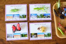 Each of the tasks below have at least one. Insect Themed Lesson Plans For Kindergarten To First Grade The Pinay Homeschooler