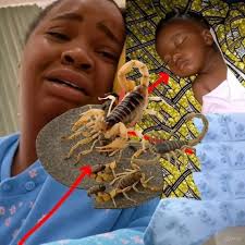 Say hi to our new members! Silvia Mulenga, Lydia Mhone, Zezebi Ramotu,  Tinya Vanisia, Getrude Linda, Banbino JP, Cephas Ngoma, Saida Chebet, Faith  Kun, Ishaj Kamara, Tewah Foko, Victoria Yini, Geolvis Gomez,