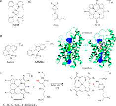 Gold Complexes in Anticancer Therapy: From New Design Principles to  Particle‐Based Delivery Systems - Moreno‐Alcántar - 2023 - Angewandte  Chemie International Edition - Wiley Online Library