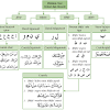 Dalam apa jua keadaan dengar surah hafalan. 1