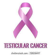 Ideal for awareness events, awareness walks and anytime to bring awareness. Testicular Cancer Ribbon Stock Vector Royalty Free 728258497