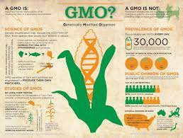 Genetic modification is a contentious issue. Gmos Solution Or Problem