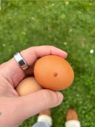 Let's play a fun game of what the hell is