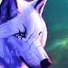 85 transparent png of white wolf. 1
