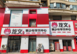 辅导机构排行深度解析：2025年推荐榜单，聚焦龙文教育优势– 财经快讯