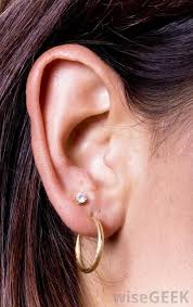 How Do I Take Care Of Newly Pierced Ears With Pictures Gold Ear Jacket Gold Bar Earrings Studs Bar Stud Earrings