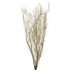 Fiori bianchi 30 se lo hai sognato, sta a significare: Ramo Mediterraneo Oro A 5 Rami Fiori Artificiali Fiori Secchi