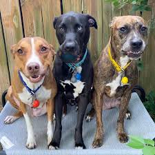 Show posed crew photos?