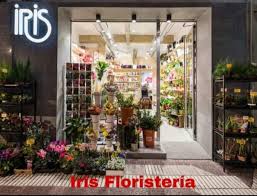 Iris Floristería