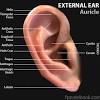 It includes the pinna, the ear canal, and the most superficial layer of the ear drum, the tympanic membrane. 1