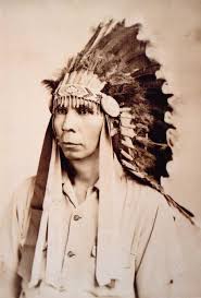 Beau Carroll (beaucarroll)