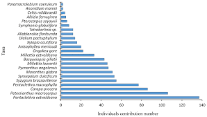Image result for Millettia eetveldeana