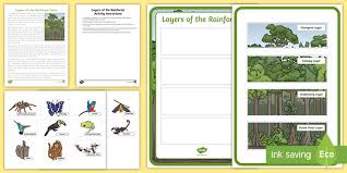 rainforest layers diagram plants and animals 4 layers