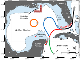 A gas leak from an underwater pipeline in the gulf of mexico led to a raging fire on the ocean's surface friday, reuters reported. Remote Sensing Free Full Text Mississippi River And Campeche Bank Gulf Of Mexico Episodes Of Cross Shelf Export Of Coastal Waters Observed With Satellites