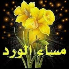 Afaf Adam (afafadam335)