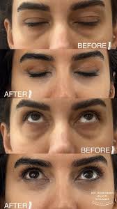 Image result for Blepharis transvaalensis