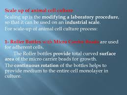 The cells should be frozen in exponential phase of growth with a suitable. Animal Tissue Culture Lec Ppt Download