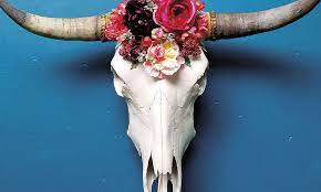 Resin cow skull head with horns 3d animal wildlife sculpture wall hanging decor. Decor Floral Cow Skulls Vivid Blooms Cowgirl Magazine
