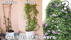 19″ long x 7″ tall x 7″ deep. How To Get Lots Of Flowers In Garden Vertical Garden How To Make Flower Tower At Home Youtube