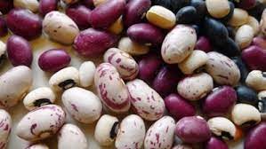 Check spelling or type a new query. How To Grow Dry Shelling Beans Finegardening