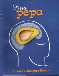 Poesia Colombiana Erasmo