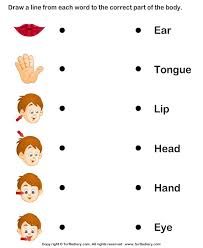 Listening activity for students to increase their skills. Science Worksheets Preschool Worksheets Body Parts Cute766