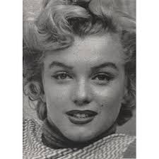 Marilyn: Andre De Dienes, Steve Crist, Shirley T. Ellis de Dienes:  9781435100510: Amazon.com: Books