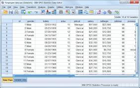 Spss Statistics For Students The Basics Spss Statistics Data Teaching