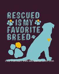Quotes about Rescue dogs (46 quotes)