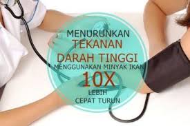 Dan family aves memiliki paruh untuk mengolah makanan dan tidak memiliki gigi. Tekanan Darah Tinggi Ciri Sleep Eye Mask Person
