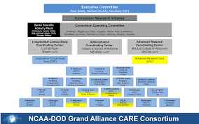 File Care Organizational Chart Year 2 3 2 2015 Png