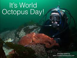 The best memes from instagram, facebook, vine, and twitter about octopus memes. Lessons Learned From Octopuses The Marine Detective