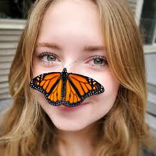 Amy Dale (@amydalephotography) • Instagram photos and videos