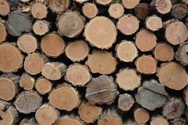 Maybe you would like to learn more about one of these? 10 Different Types Of Acacia Wood Home Stratosphere