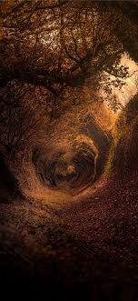 Iphone wallpapersiphone ringtonesandroid wallpapersandroid ringtonescool backgroundsiphone backgroundsandroid backgrounds. Hobbit Shire Retina Wallpaper Apple Wallpaper Wallpaper