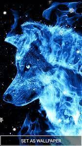 Pin On Wolf