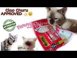 Temptations treats for cats 30 ounces. Cat Treats Ciao Inaba Churu Review Product Info Youtube