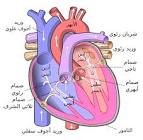ابداع افكار