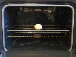 Résultat de recherche d'images pour "bun in oven"