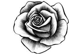 We did not find results for: Cara Mewarnai Gambar Vas Bunga Dari Cara Mewarnai Gambar Vas Bunga Beserta Cara Mewarnai Gambar Vas Bunga B Rose Illustration Roses Drawing Rose Drawing Tattoo