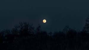 If you're in search of the best dark wallpaper hd, you've come to the right place. Collection Of More Than 90 Black Wallpapers For Computers And Laptops
