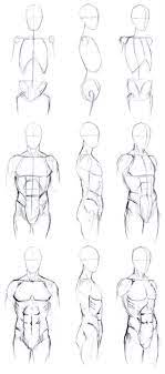 Pin On Anatomy Charts