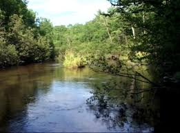 Fly Fishing Gear Tackle And Flies For The Pere Marquette River