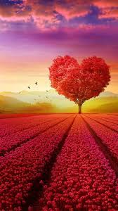 Follow the vibe and change your wallpaper every day! Hd Love Wallpaper Kolpaper Awesome Free Hd Wallpapers
