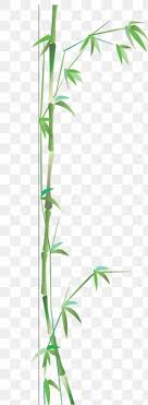 Bamboo Images Bamboo Transparent Png Free Download