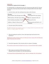 Strawberry Dna Extraction Lab By What S Cooking With Kids Teachers Pay Teachers Dna Extraction Lab Dna Lab