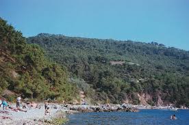 Are there any good beaches/beach resorts near istanbul, i have not come across any that are not. Erdogan Und Die Nudisten Zenith Me
