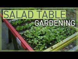 Salad Tables University Of Maryland Extension Growing Vegetables Master Gardener Grow Your Own Food